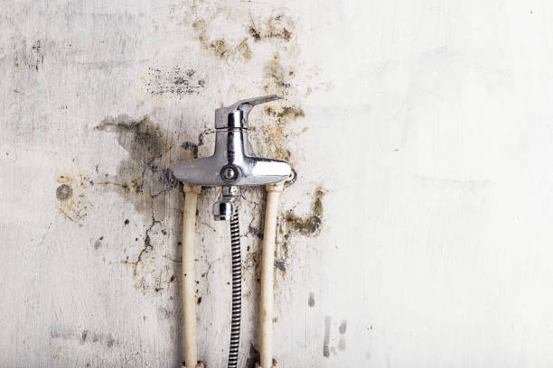 Water Damage Restoration in New Deal, TX