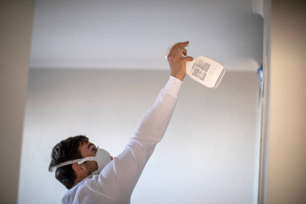 Best Toxic Mold Removal  in New Deal, TX